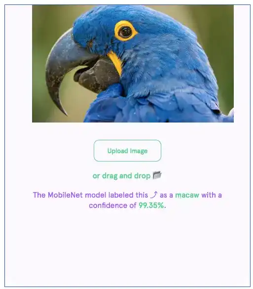 Example of ImageClassifier